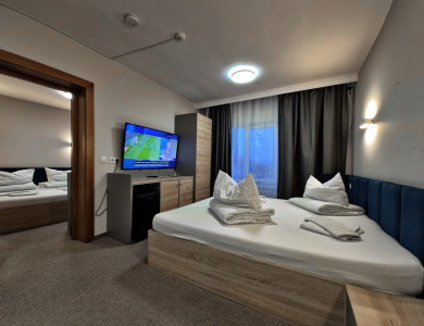 Apartament Pensiunea Teleptean Ocna Sugatag